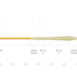 Scientific Anglers Mastery MPX Fly Line
